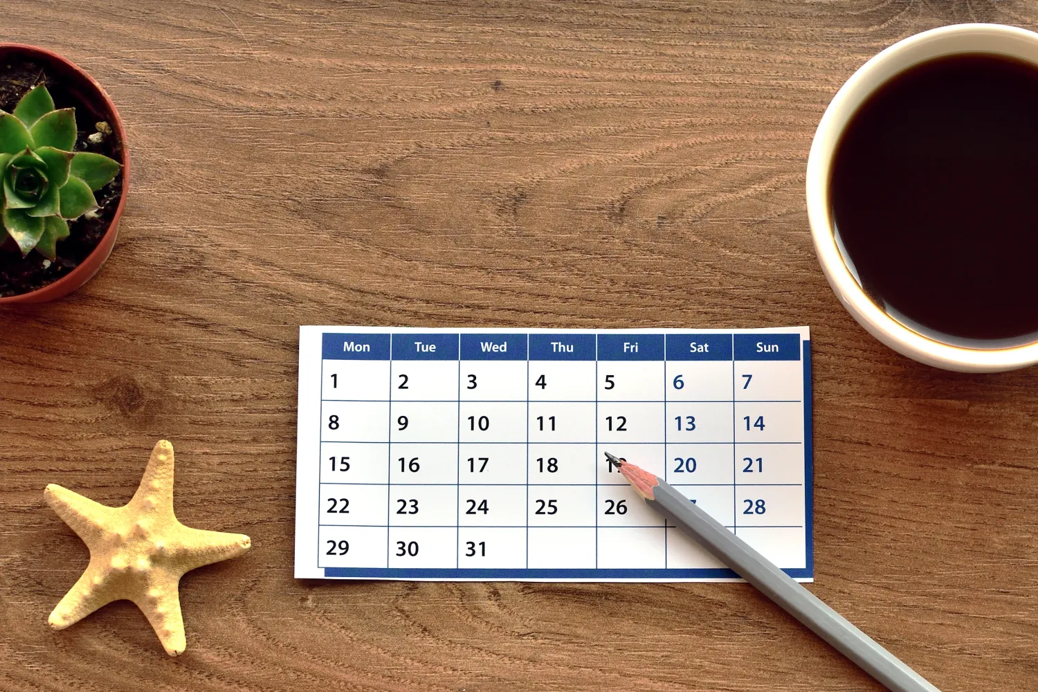 Auf einem Tisch aus Holz stehen eine Tasse Kaffee, ein Kalenderblatt, ein Bleistift, ein getrockneter Seestern und eine Sukkulente in einem Topf mit Erde.