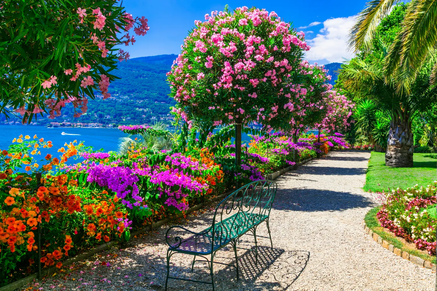 Eine Bank in einem bunten botanischen Garten mit Blick auf das blaue Meer